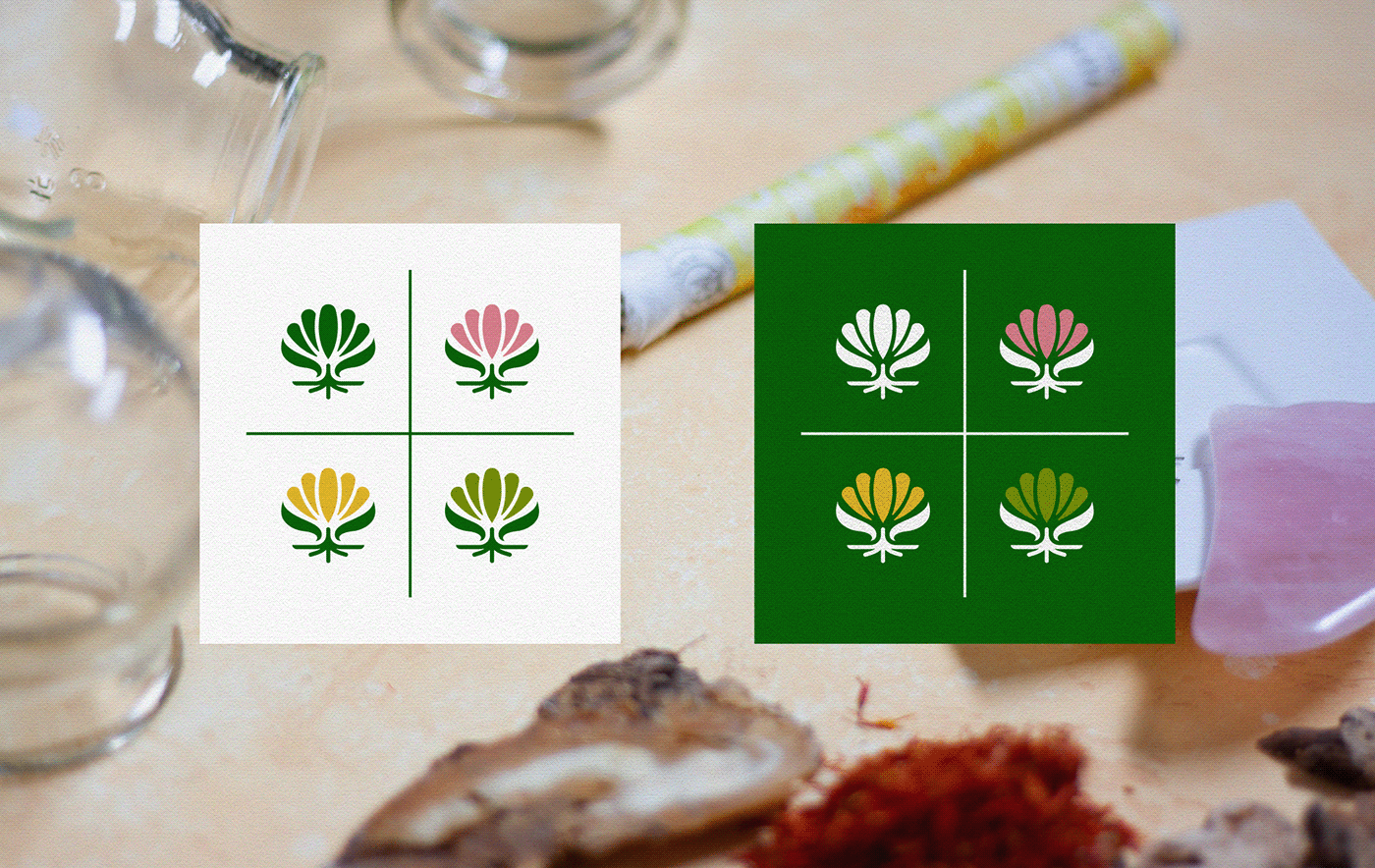 Root & Bloom logo variations