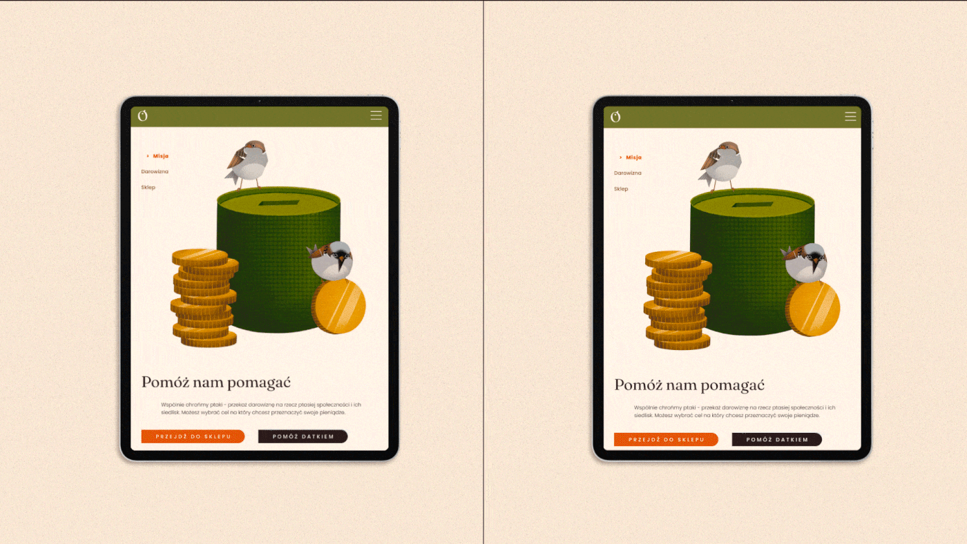 Web Design  design UI/UX Figma warsaw bird sparrow Website