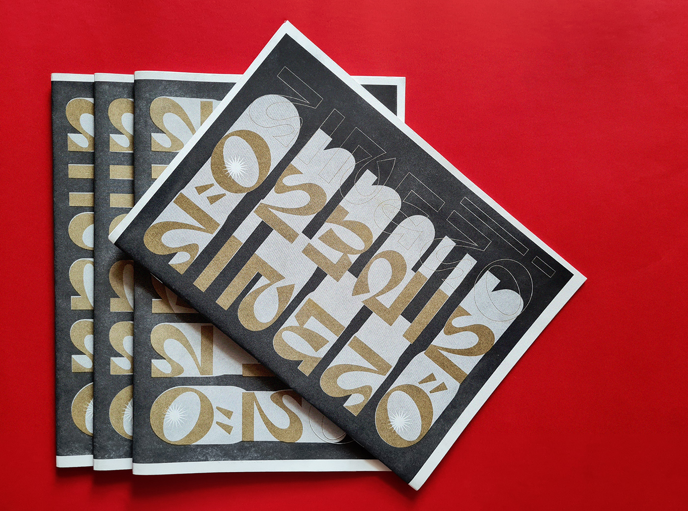 design editorial editorial design  graphic design  magazine Magazine design risograph Risograph Print typography   Zine 
