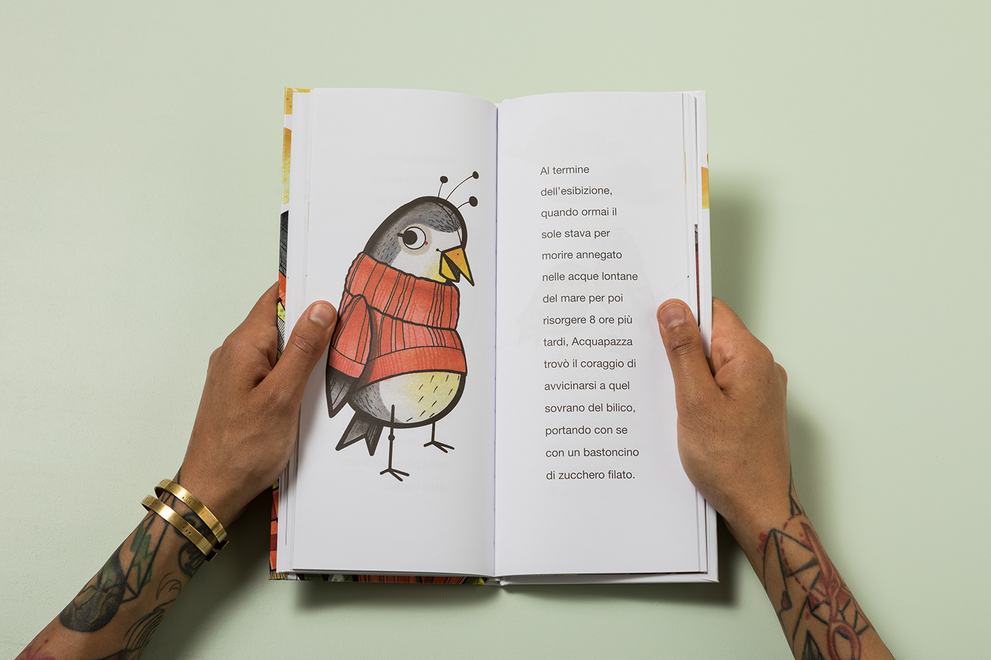 birds book book design child children book children illustration cover editorial ILLUSTRATION  kids