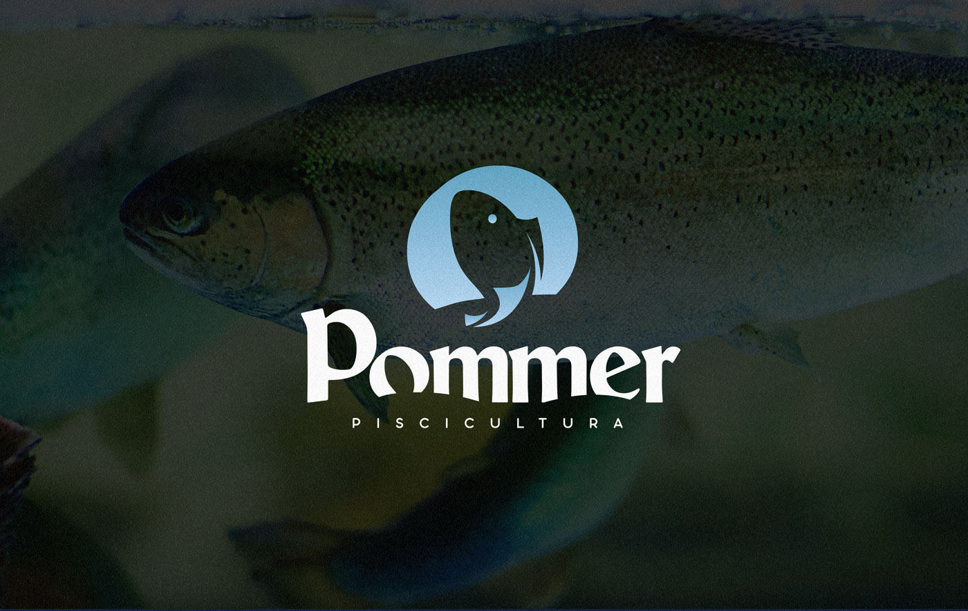 Piscicultura logo branding  visual identity fish peixe Tilapia identidade visual Pommer