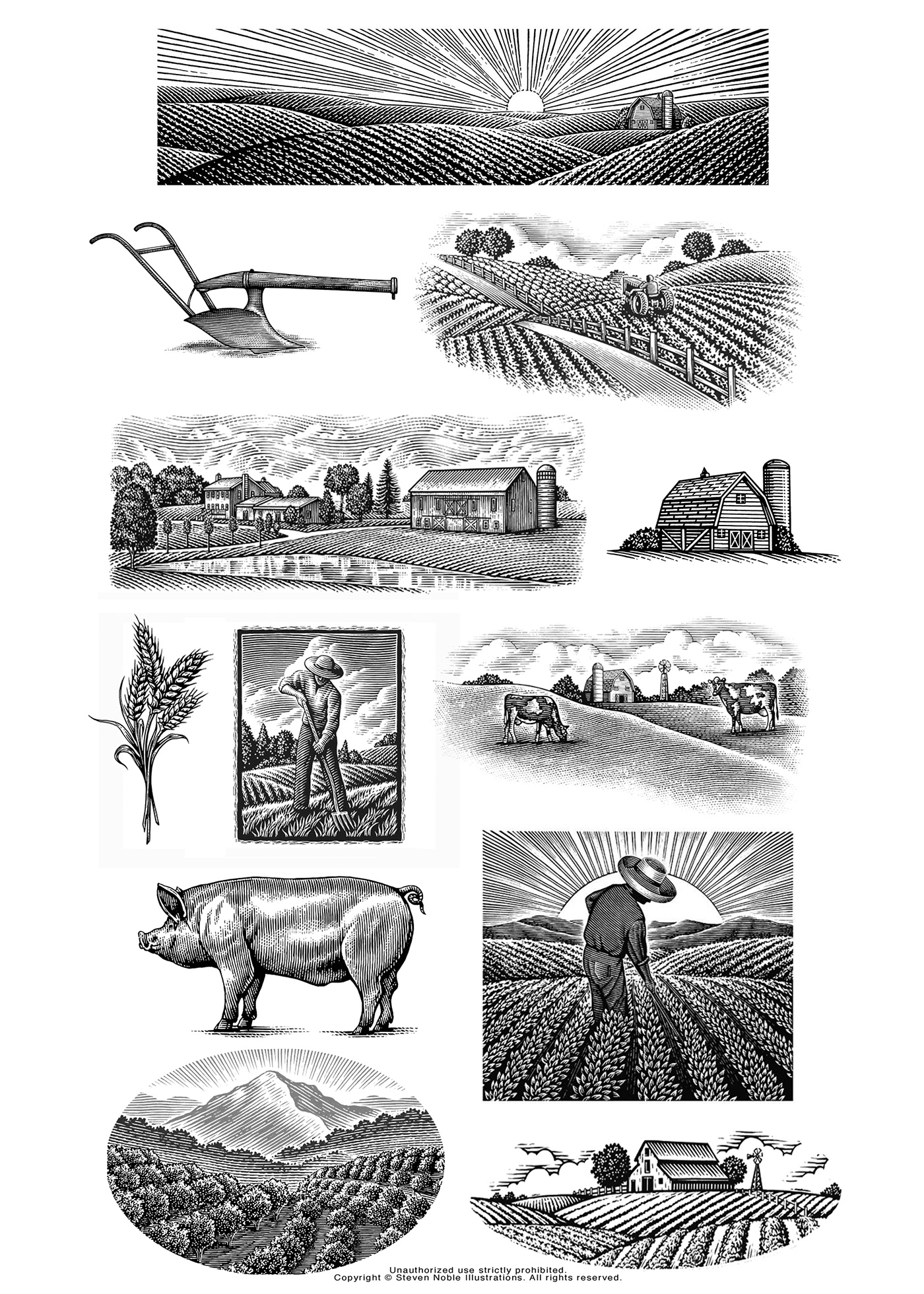 agriculture illustrations engraving etching farm animals farm illustrations farming illustrations scratchboard Steven Noble woodcut