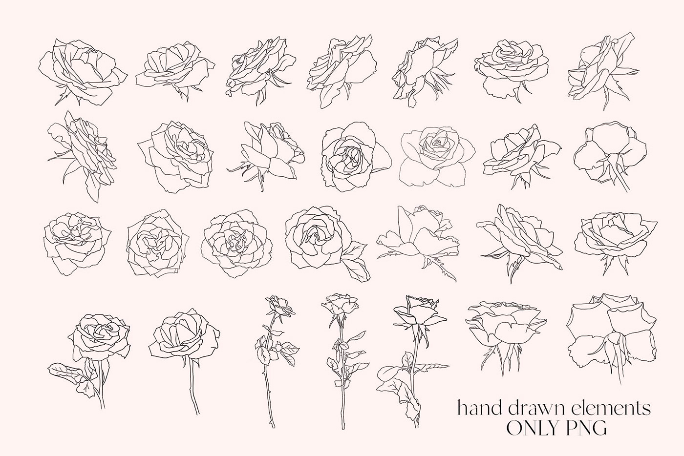 flower line minimalist modern Rose line art rose line drawing rose silhouette Rose Vector