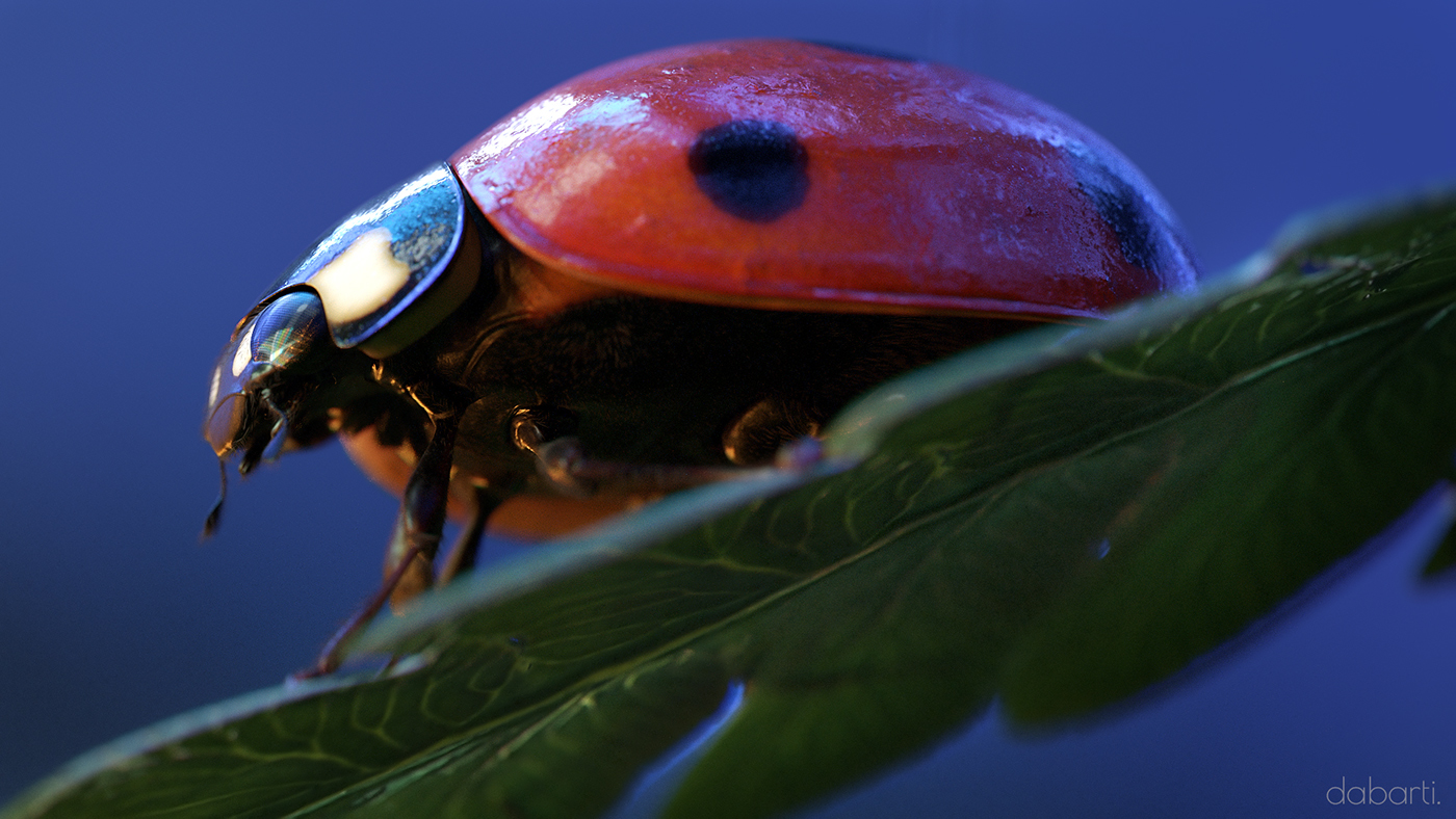 3D Render Insects lady bug beetle Cinema forest CGI GPU