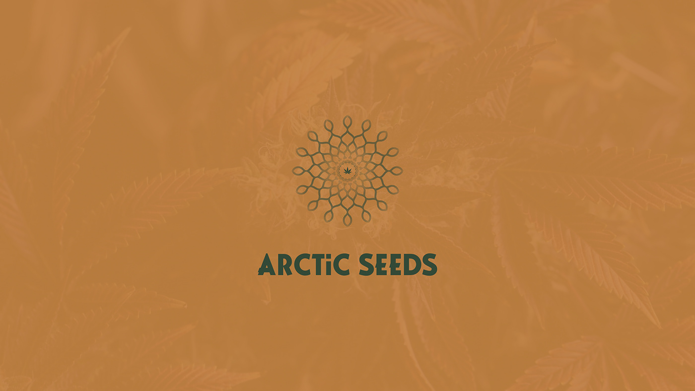 cannabis logo Logo Design marijuana Responsive web design responsive website visual identity Web Design  Webdesign weed