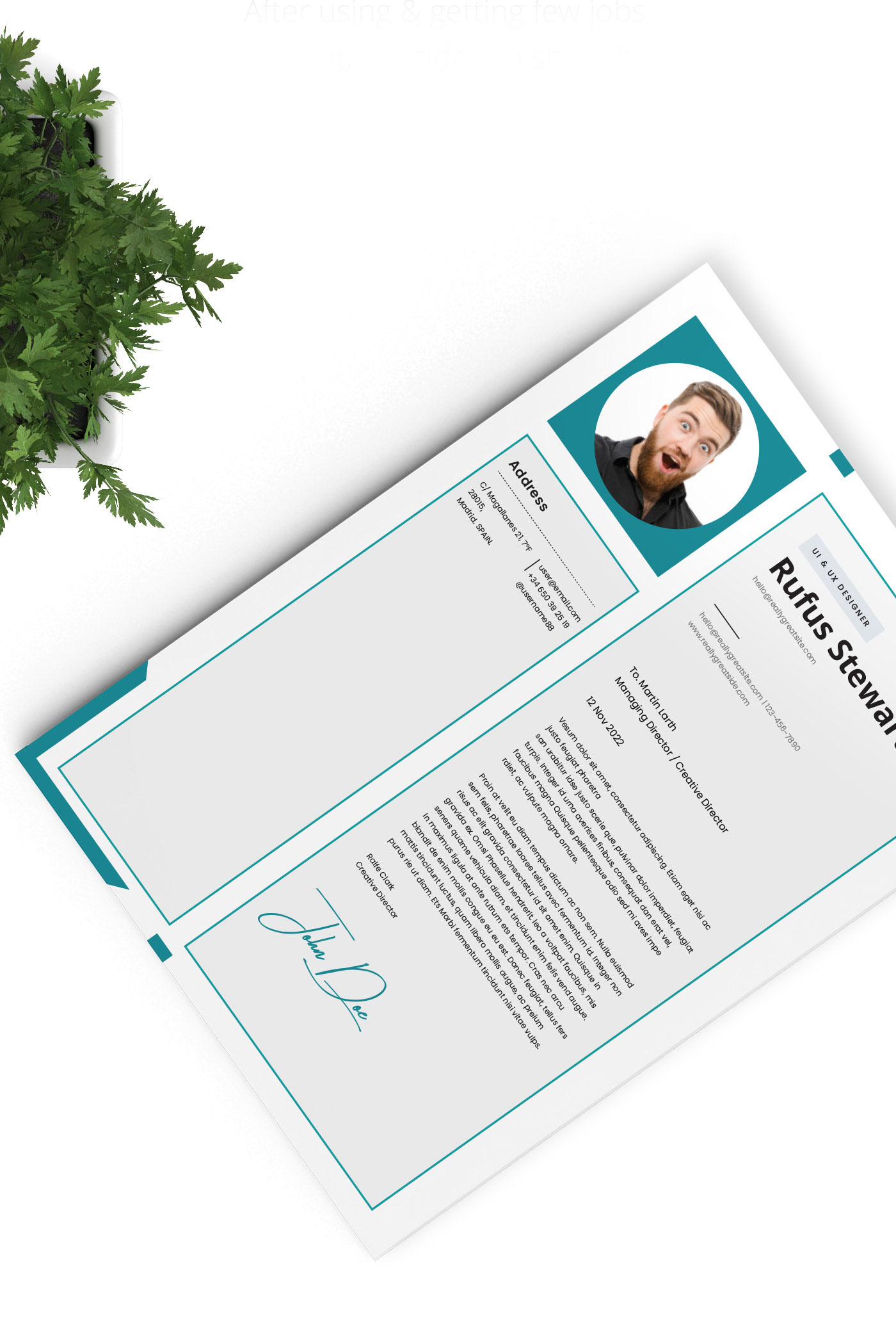 clean cv design elegant elegant resume female resume infographic resume