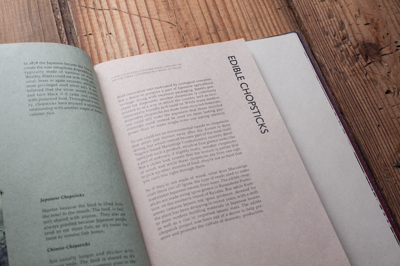 editorial design  chopsticks book design typograhy book enviroment