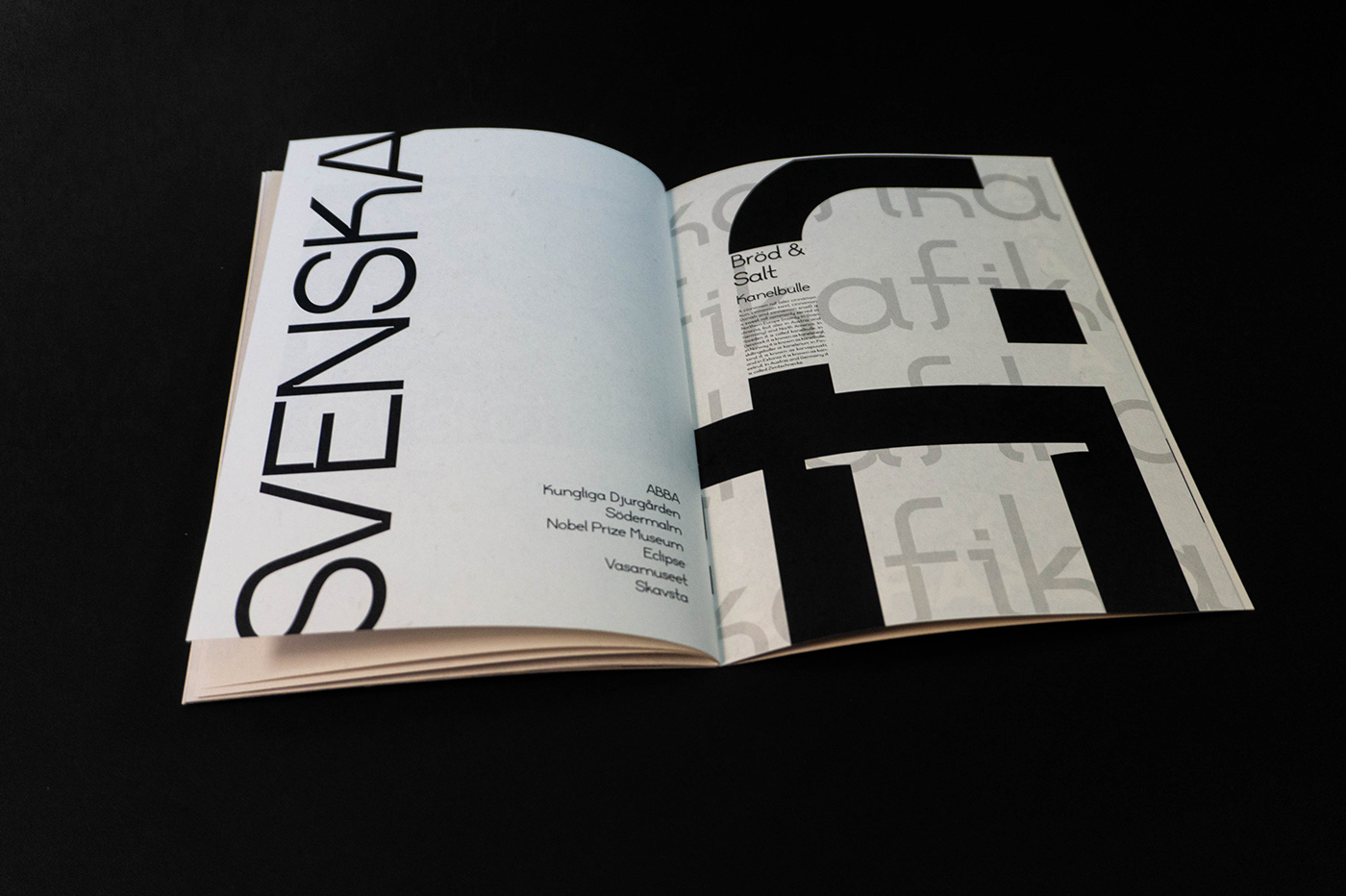 black clean font font design FontLab sanserif Typeface typography   fontbook specimen