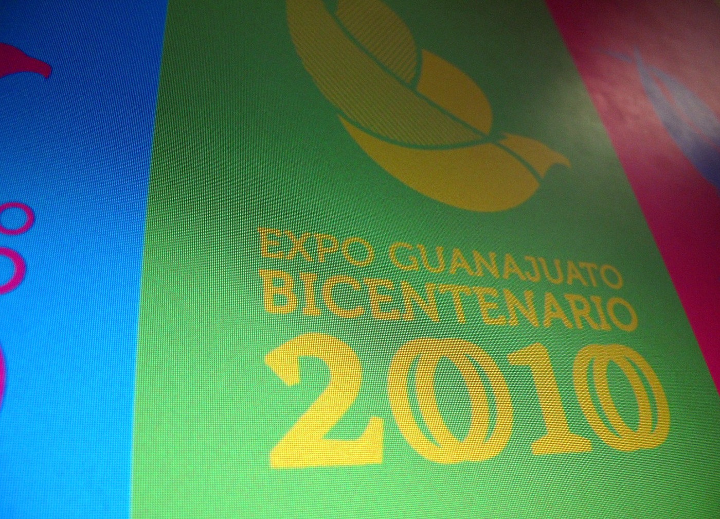 Adobe Portfolio logo mexico la sociedad monterrey BICENTENARIO ave bird colorfull