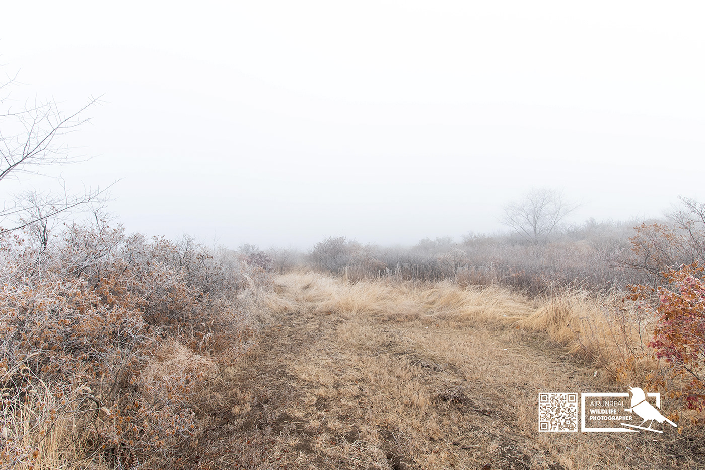 fog landscapes panoram panorama Russia volgograd wildlife