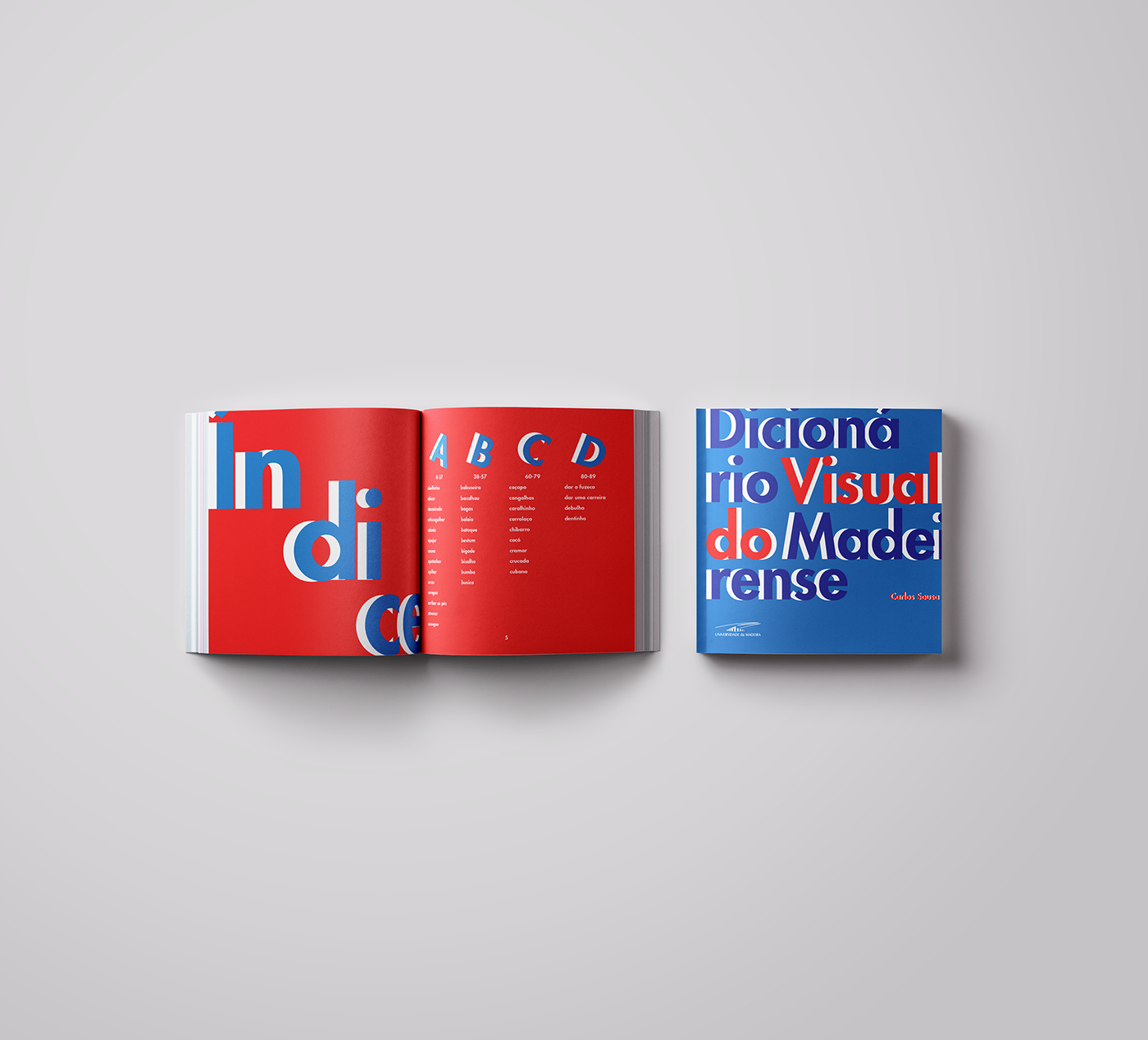 book design Layout ILLUSTRATION  typography   visual dictionary catalog design print design 