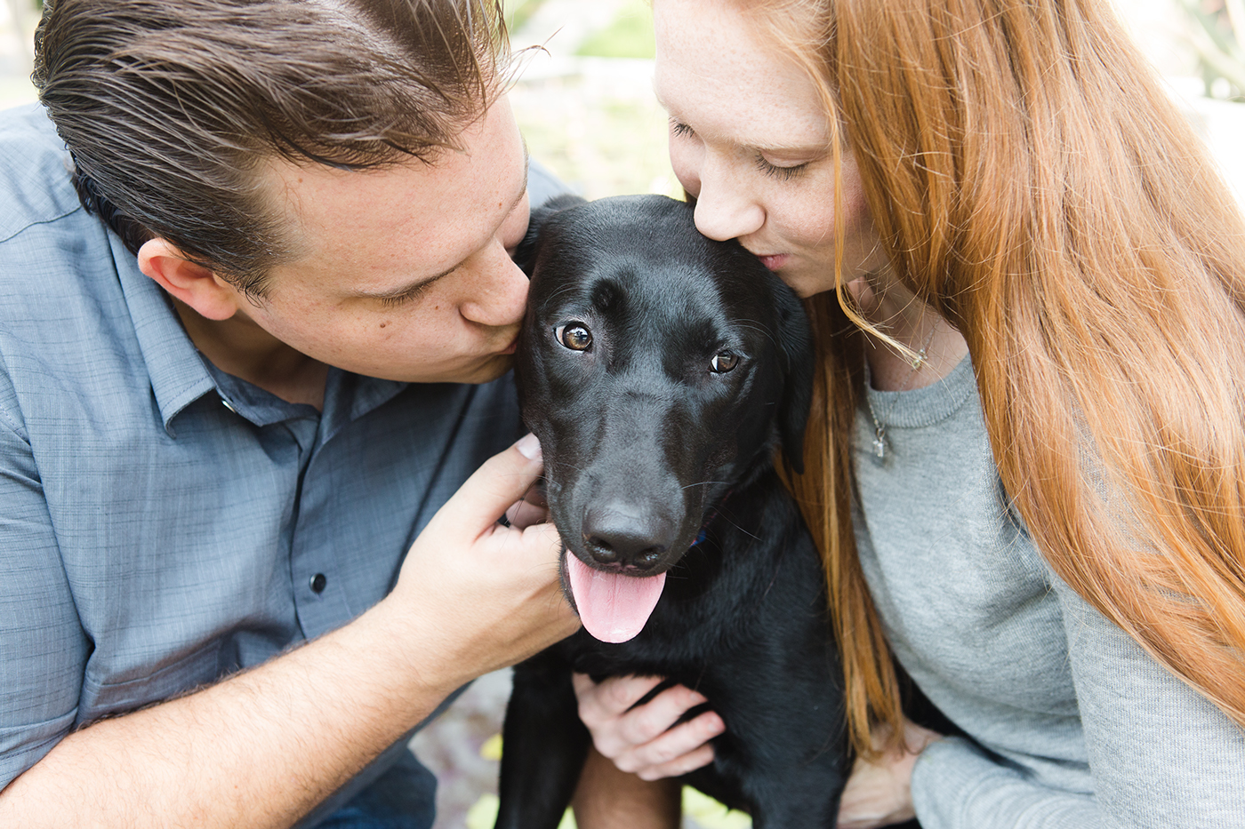pet photography dog Love family photoshoot lifestyle best friend paws Labrador puppy