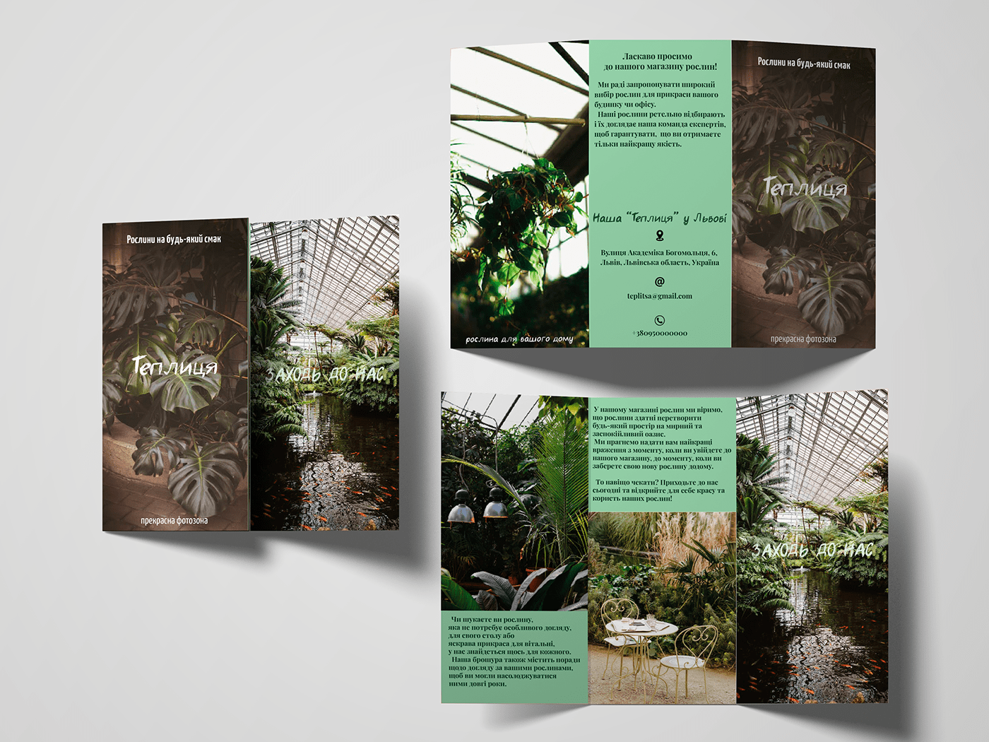 brochure брошюра рослини