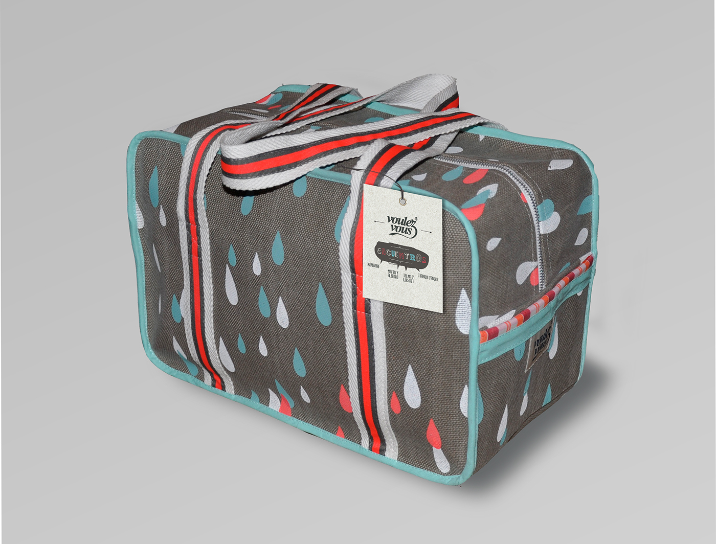 Adobe Portfolio voulez vous Paris handbags buenos aires carteras tags Vania Silva vanya silva carton cardboard colors etiqueta diseño