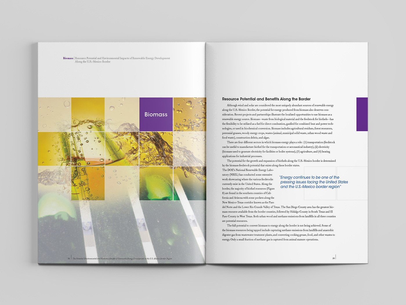 environmental book design graphic print publication