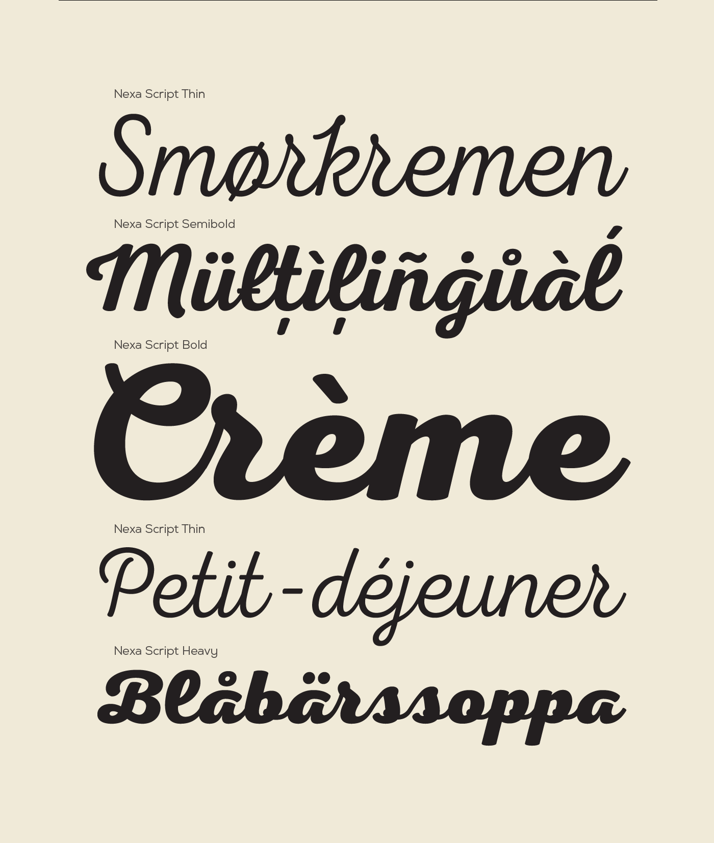 Script Free font free typography download free