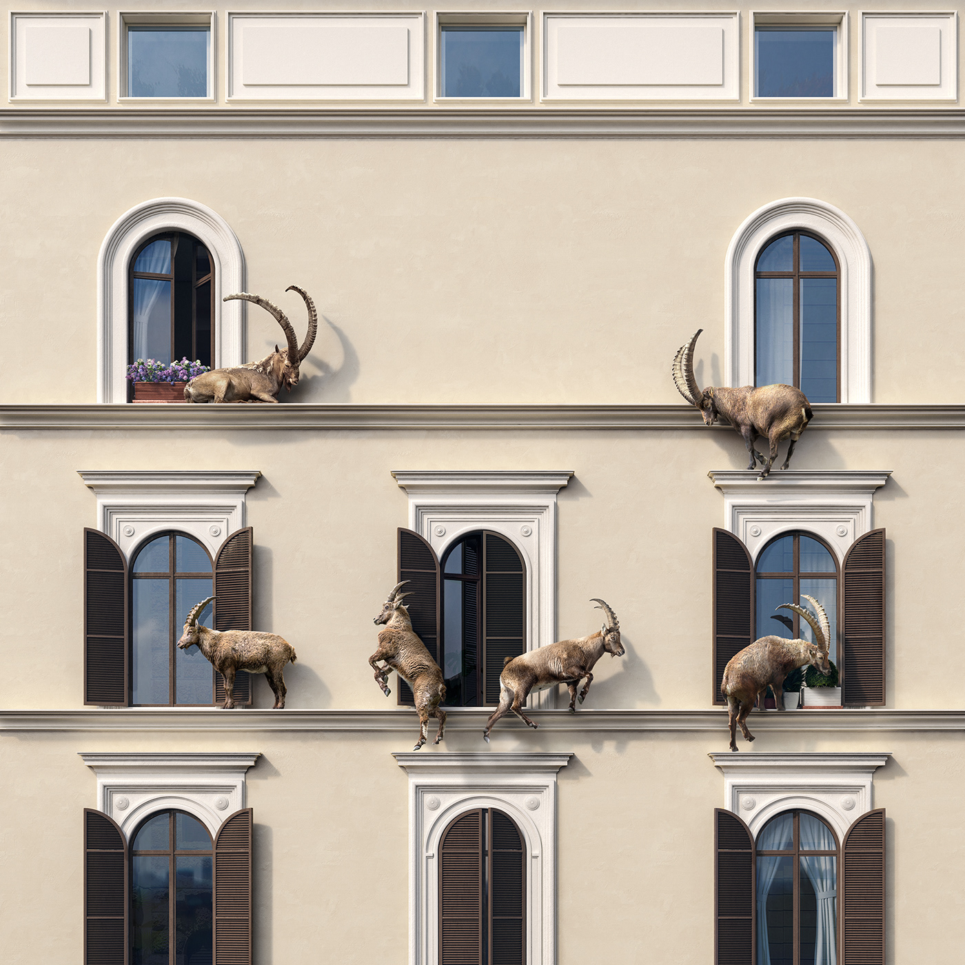 ADV retouching  ibex animals Rome scramble smog pollution