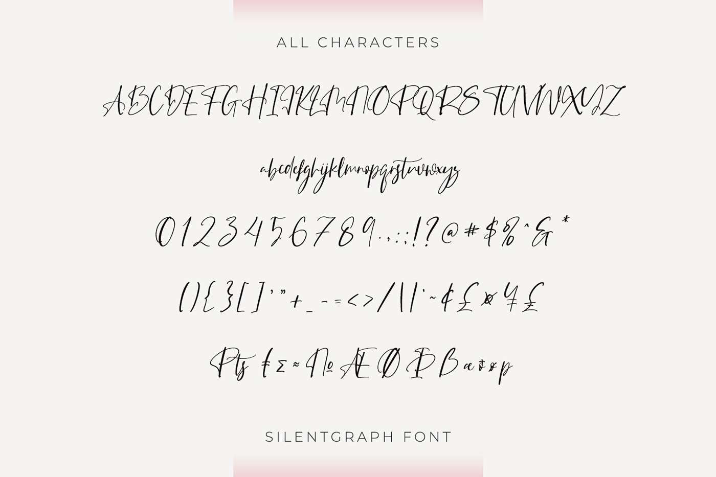 branding  design font fonts graphic design  Logo Design Script typography  