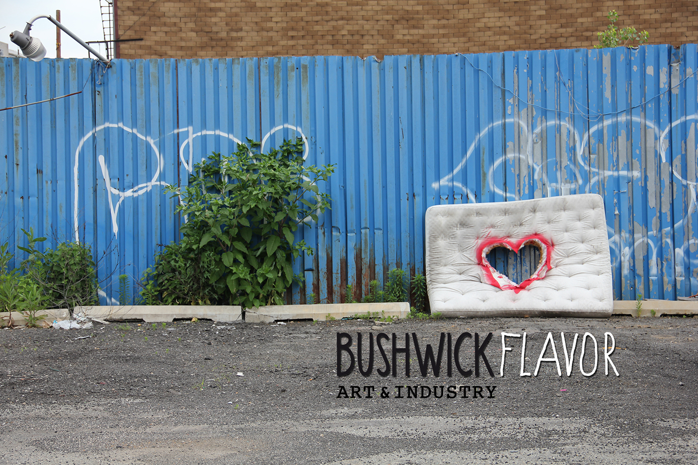  interviews moods Bushwick Brooklyn New York nyc Documentary  Art Scene america short movie