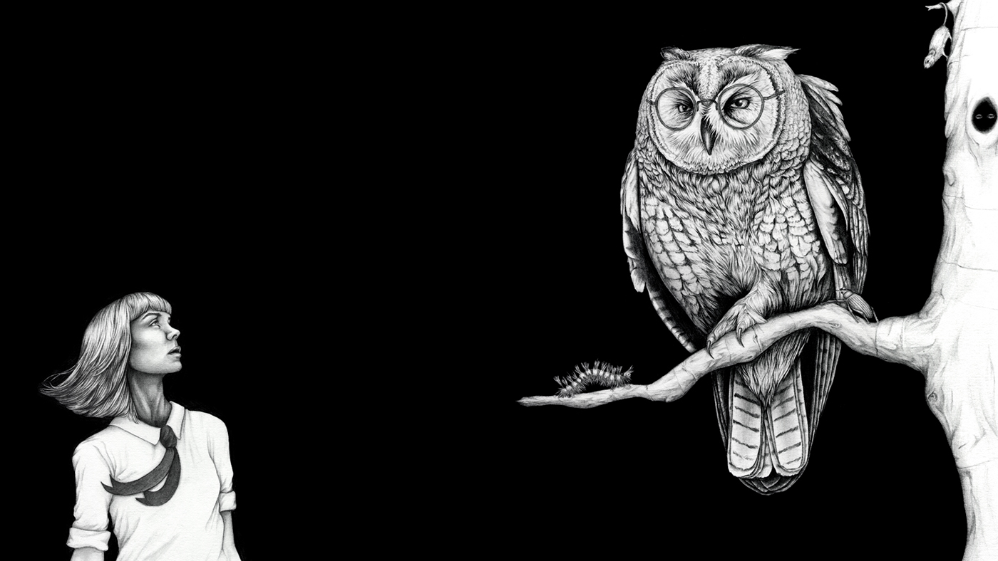 ILLUSTRATION  owl fairy tale fantasy interactive Website forest Insects animals creatures