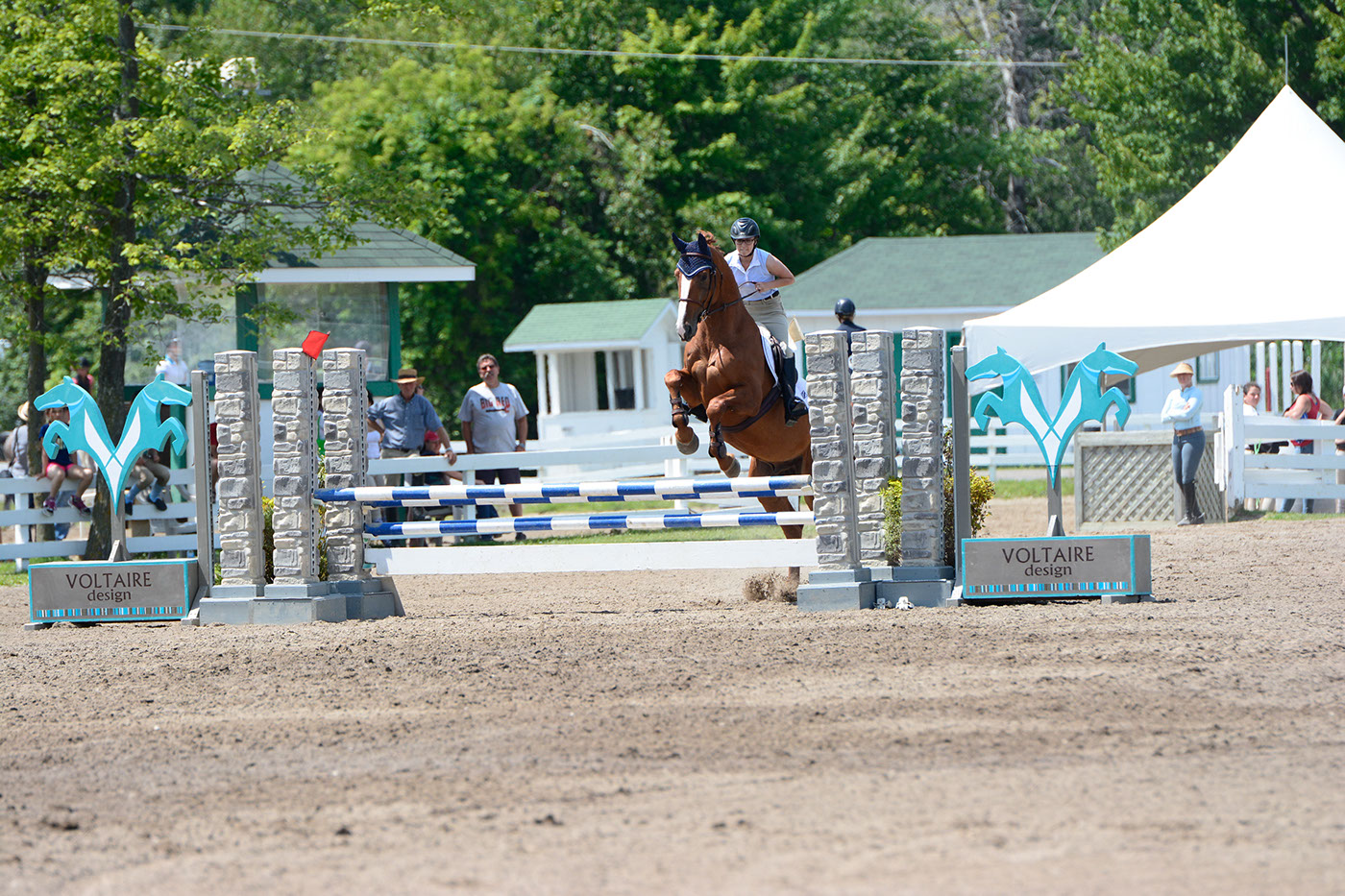 horse horses jumper hunter Jumping Blainville Horse Show