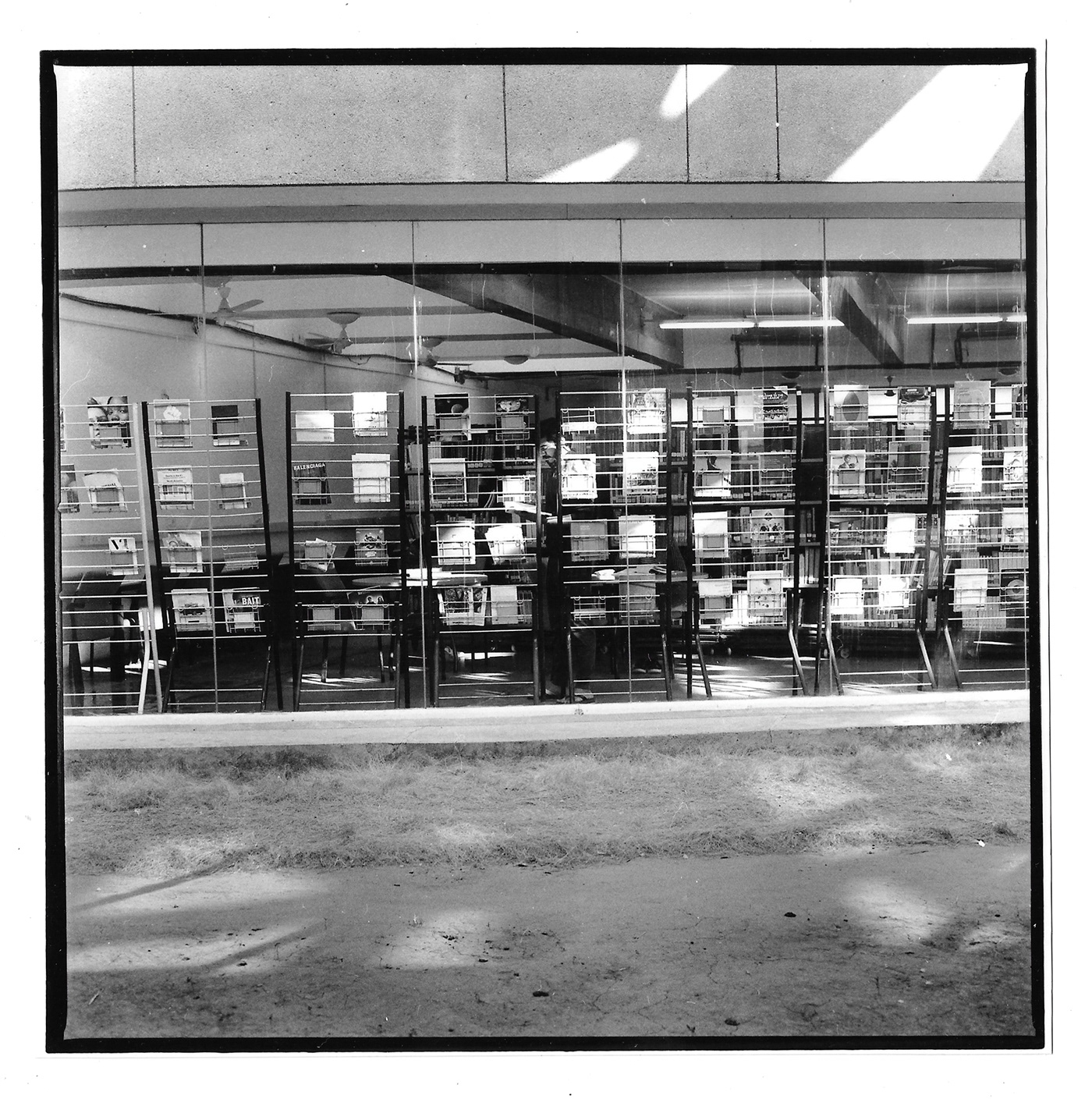 analog analog photography Analogue black and white darkroom film photography Photography  portrait Silver Gelatin Print street photography