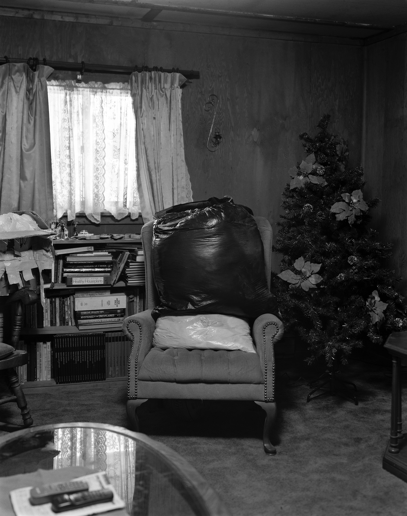 christmas Tree Interior Photography  Film   large format view camera 4x5 still life living room