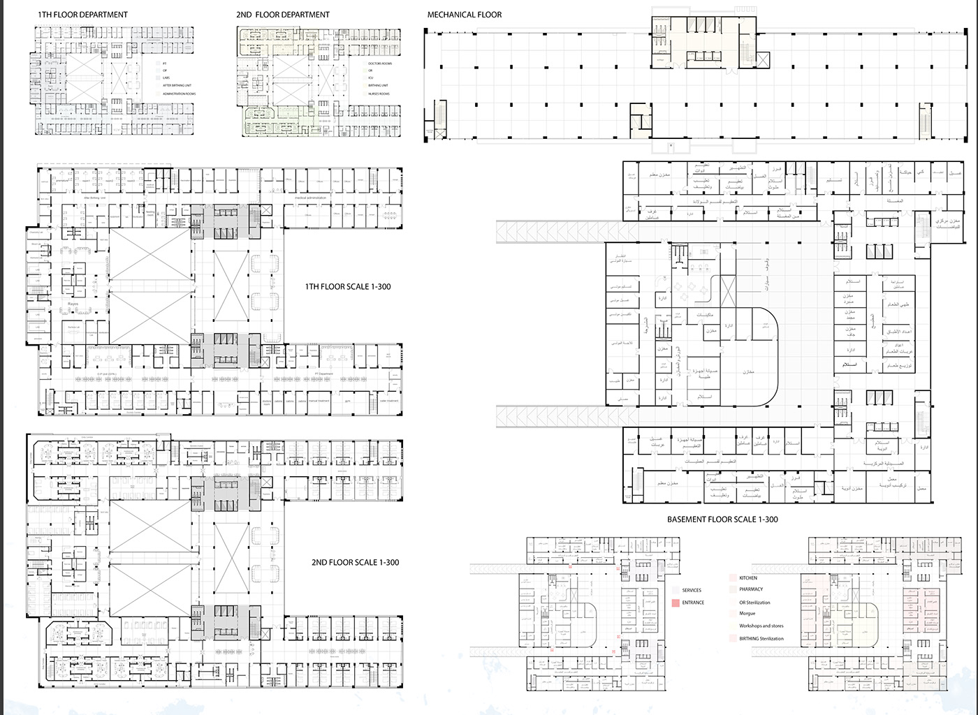 3dmax vray hospital graduation Project architecture Interior design court visualization