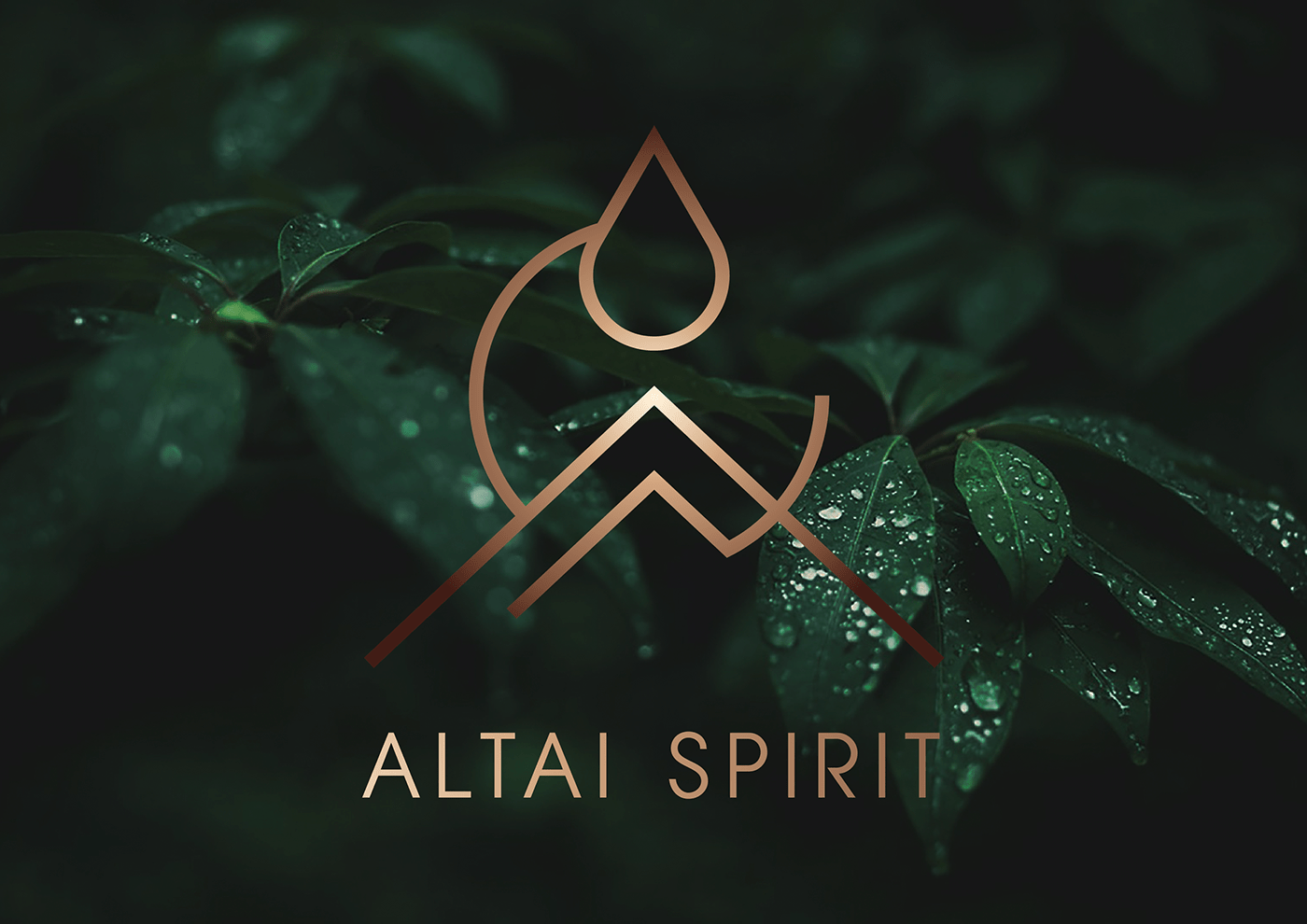 Altai branding  corporate design designer graphicdesign identity logo Russia Style