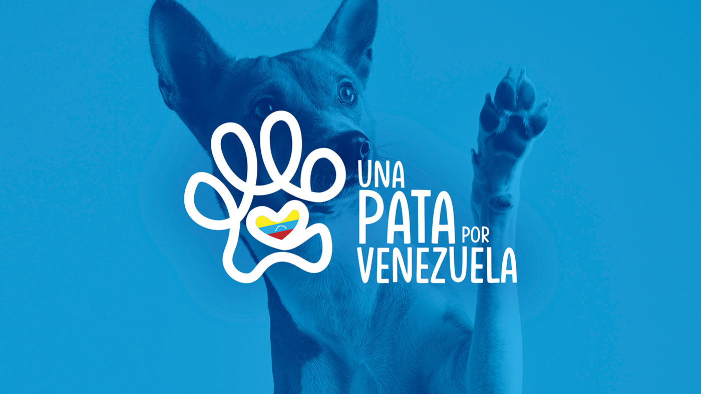 branding  dog gat logo Pet pet adoption branding