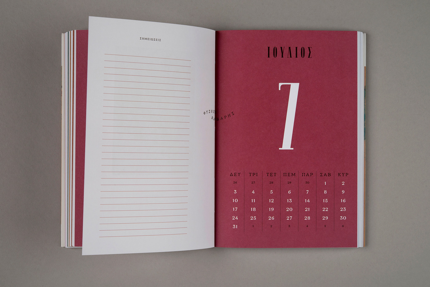 agenda book calendar design editorial Layout typography  