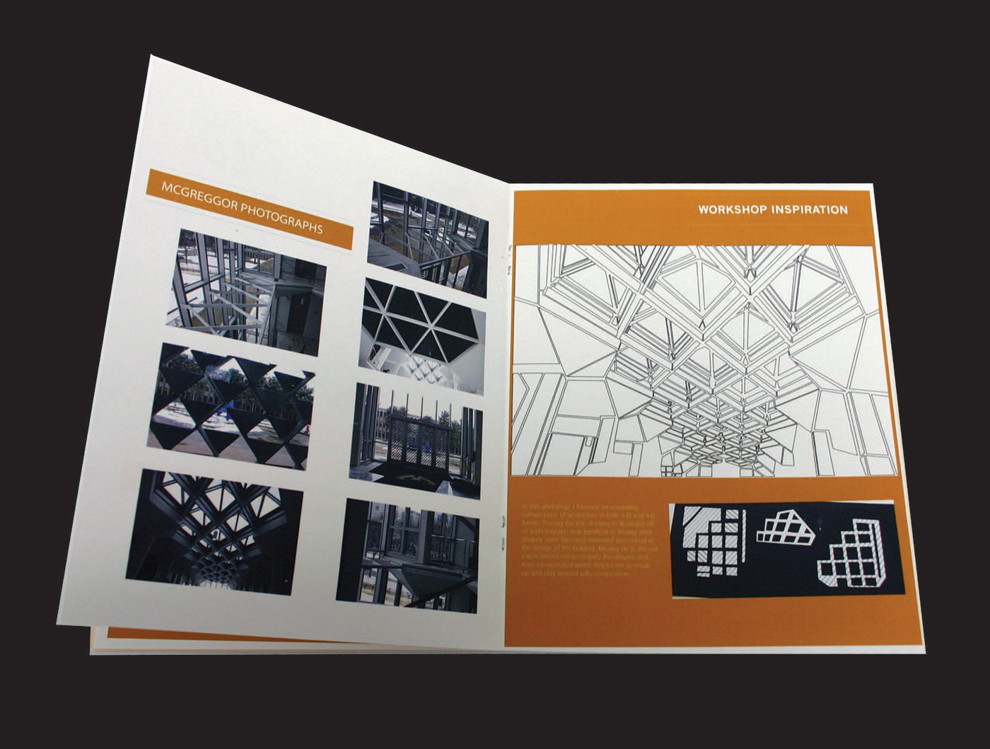 graphic design  Zine  typography   design portfolio process book Workshop paper moldmaking