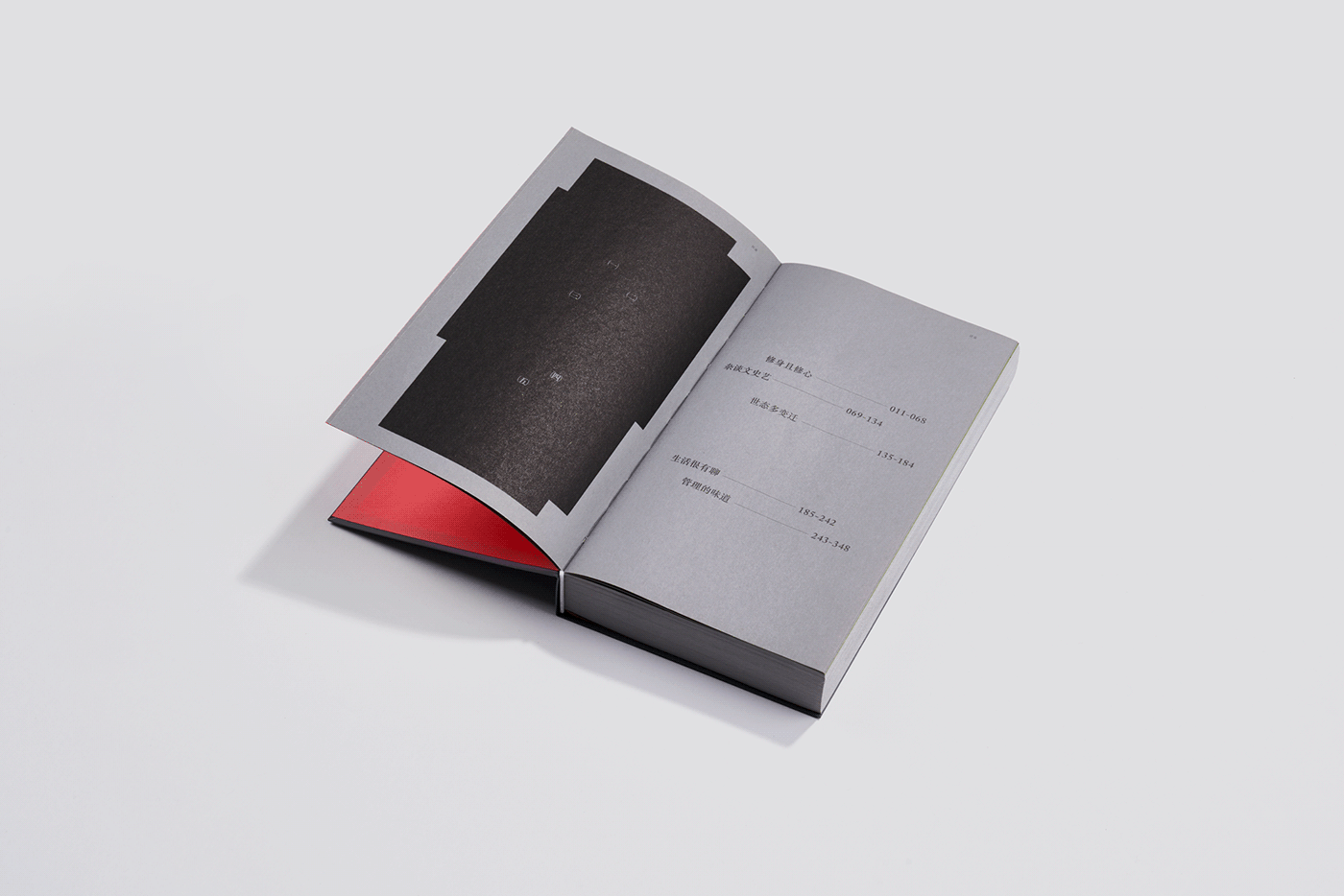 book design graphic design  editorial design 