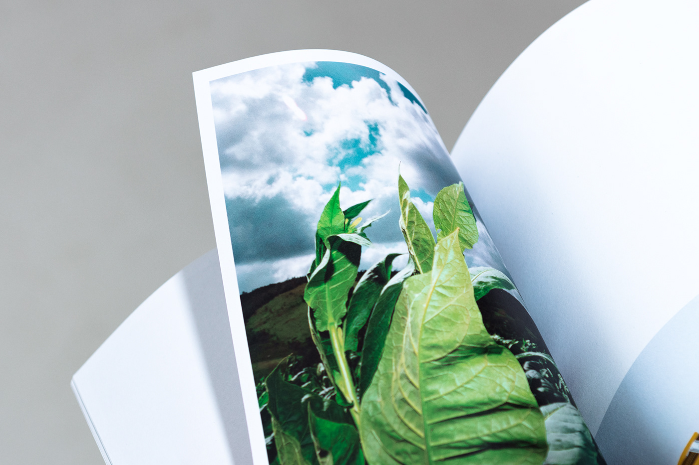book Travel graphic design  Photography  magazine print
