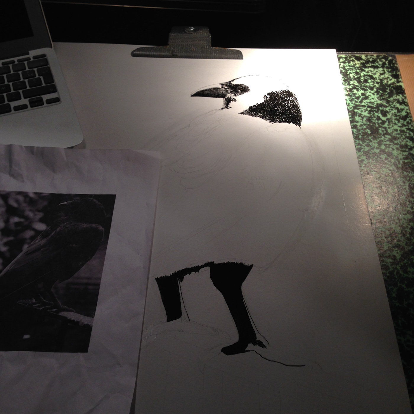 crow raven black big project dessin +Drawing+ ink pigma sakura