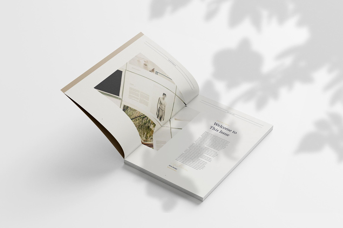 book cover design editorial editorial design  InDesign Layout magazine print publication Zine 
