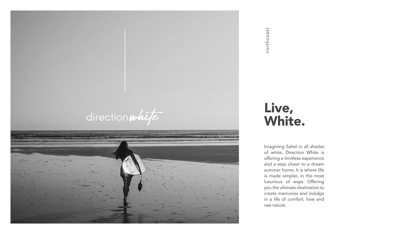 beach black and white branding  logo model Nature Photography  photoshoot summer White