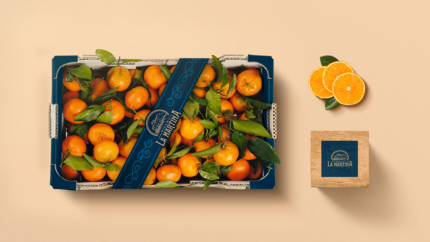 caja box fruta Fruit naranjas orange citrus valencia orchard harvest
