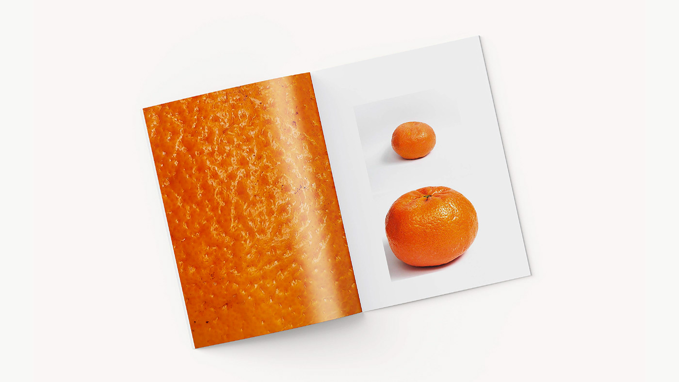 Fotografia Diseño editorial editorial Photography  Fotografía de producto fotolibro photobook book design print brochure
