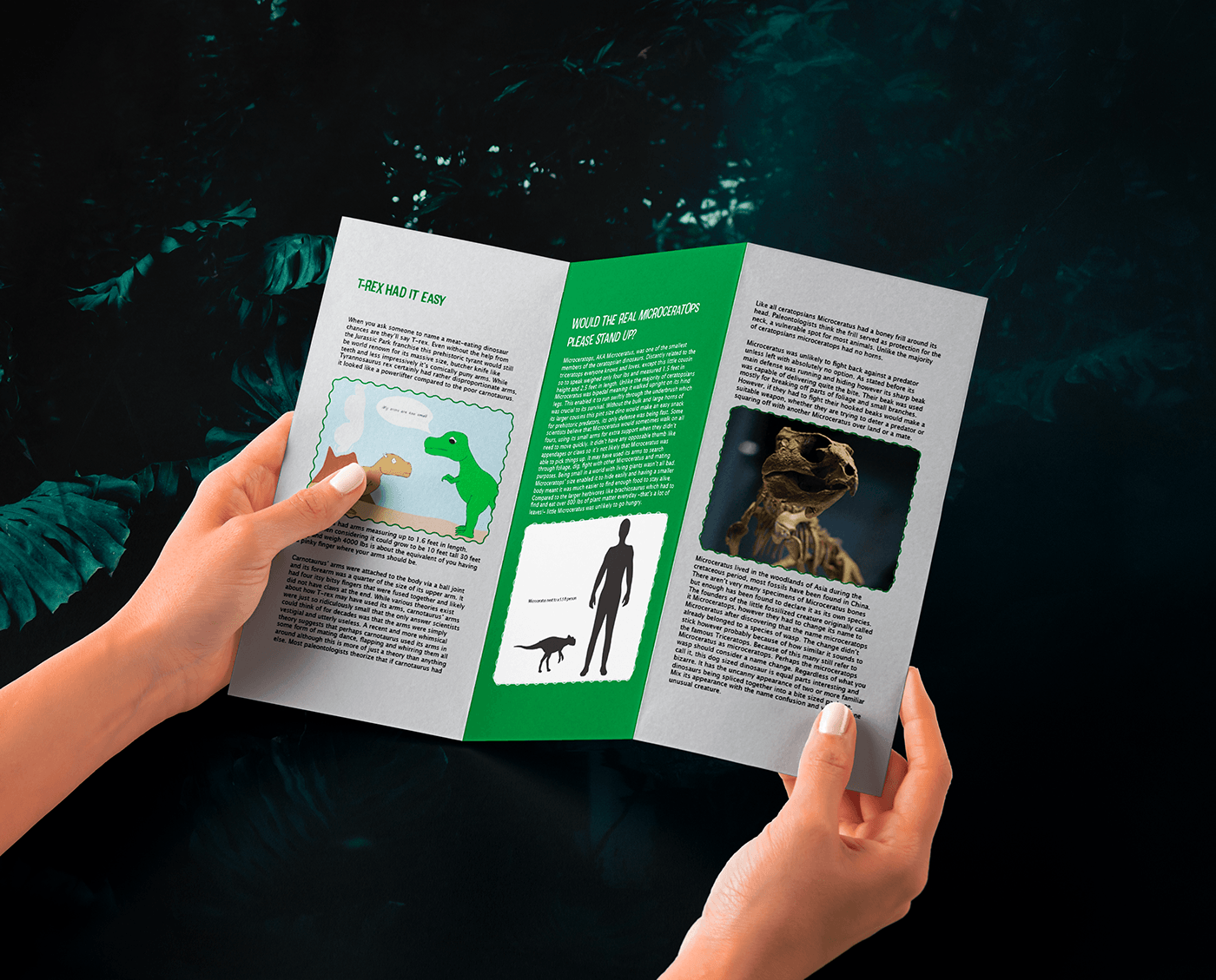 brochure design Layout Design editorial design  dinosaurs pamphlet design paleontology