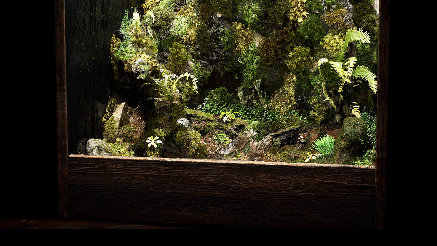 3D Nature plants realtime terrarium Unreal Engine Unreal Engine 5