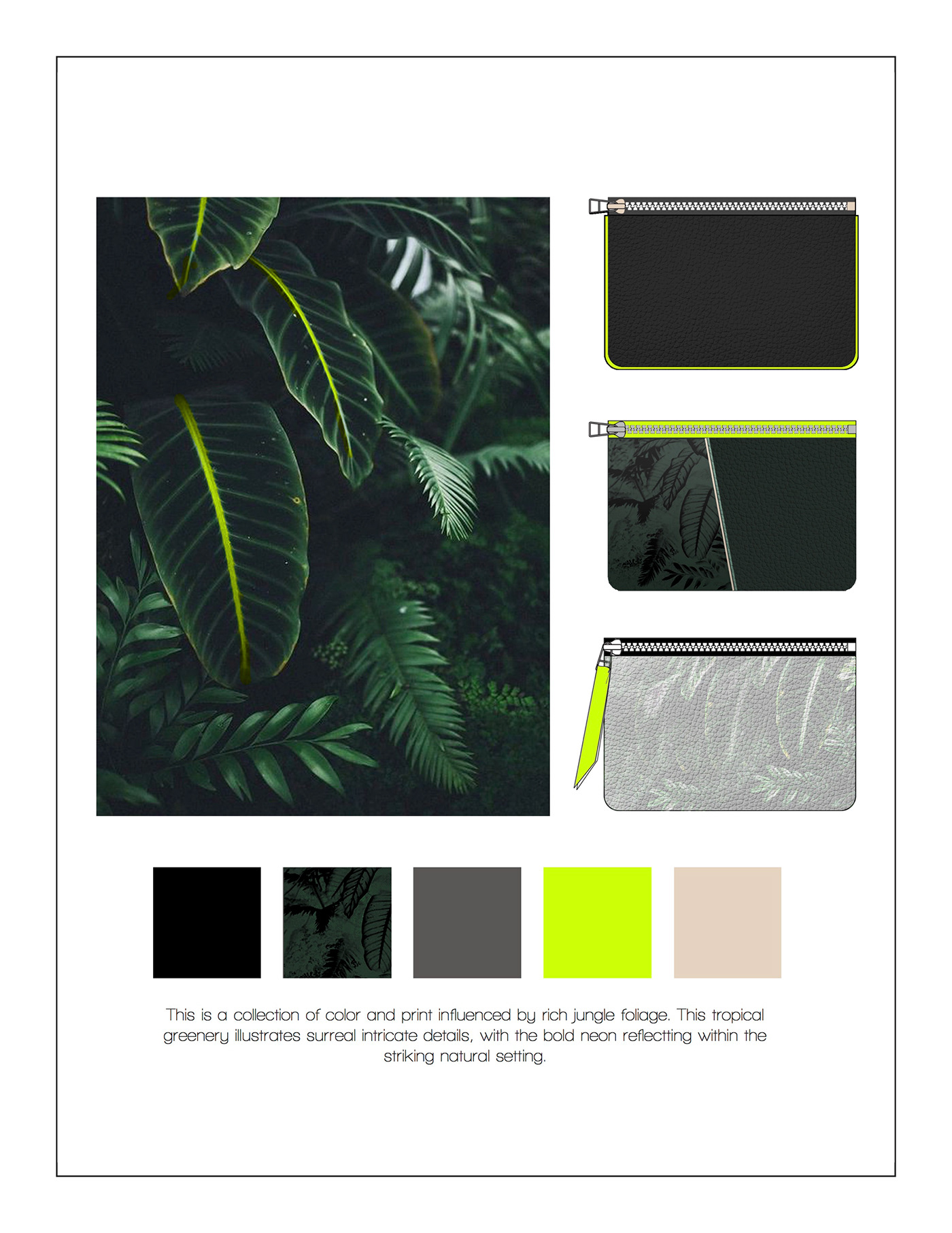 Color Design print design  product design  product development