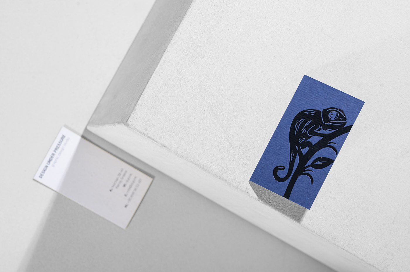 bussiness cards foil cards graphi design ILLUSTRATION  laminate paper letterpress Printing typography  
