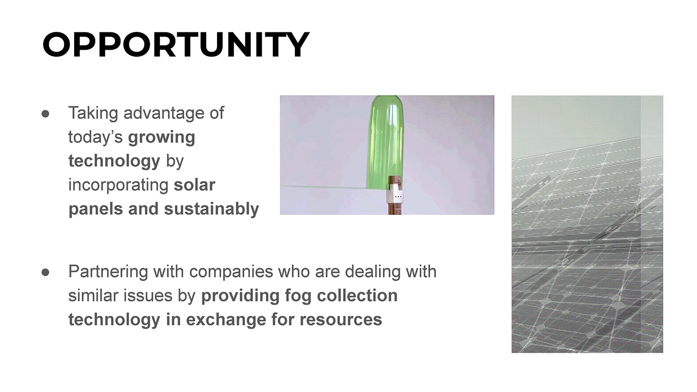 biomimicry climate change fog nature inspired water future green Nature Sustainability Sustainable