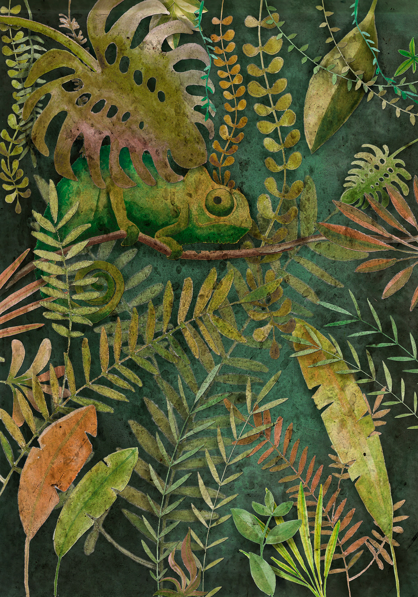 child illustration illustrazione infanzia chameleon camaleonte foresta tropicale mimetismo