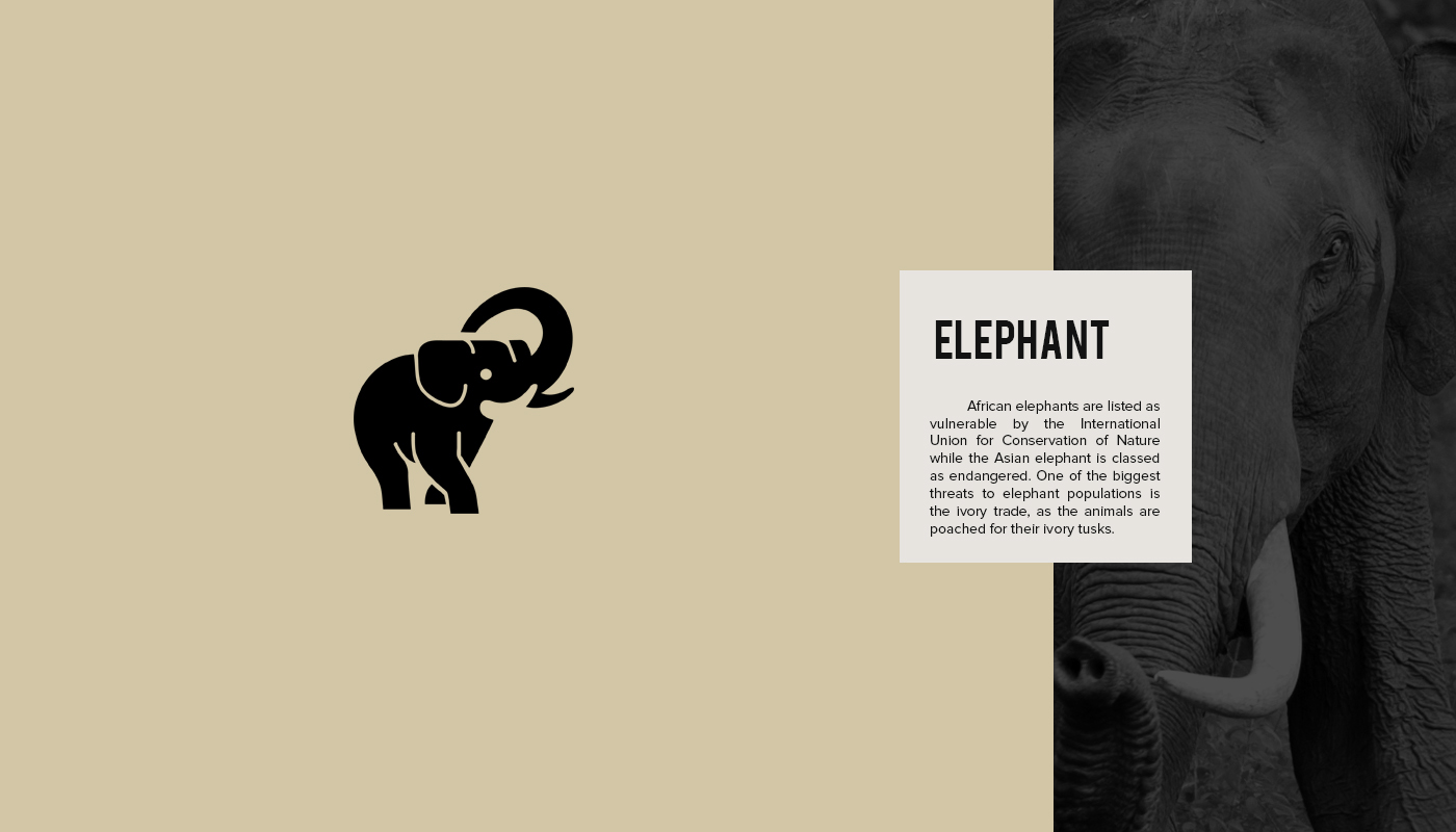 Endangered Animal Logos