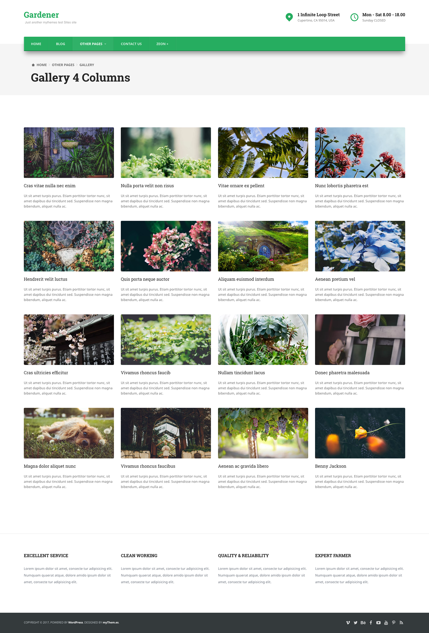 Small Business tempo child theme gardener wordpress template