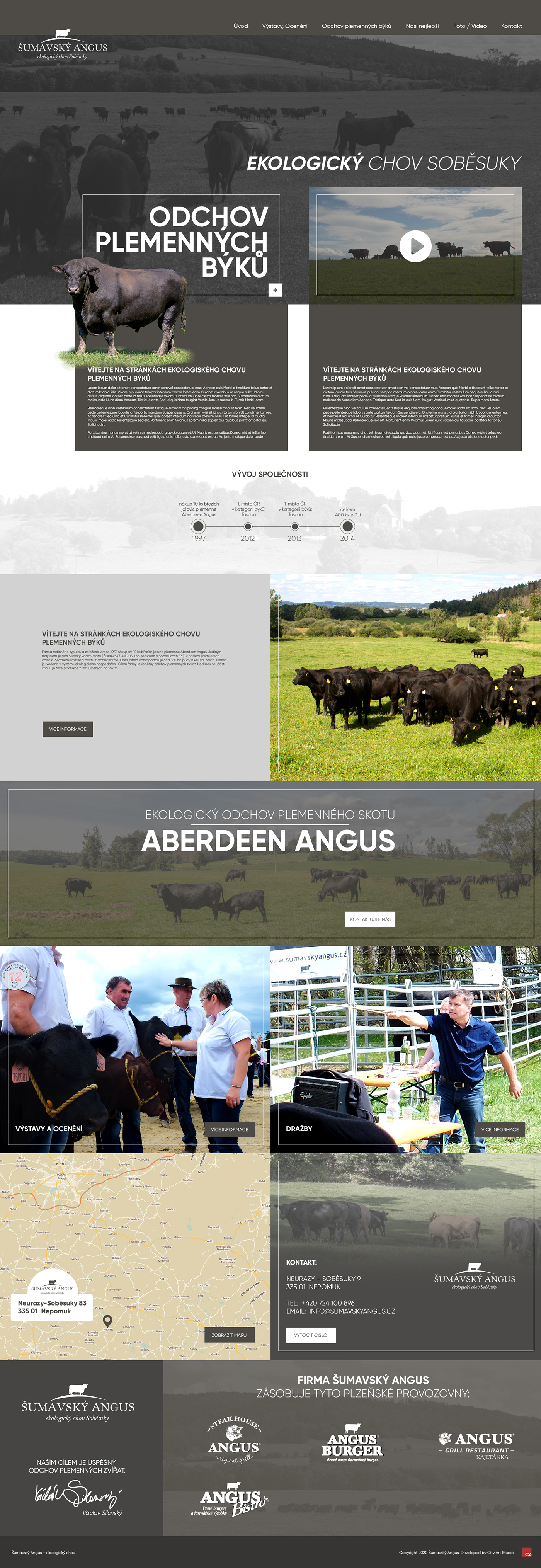 ecological Cattle Webdesign angus breeding