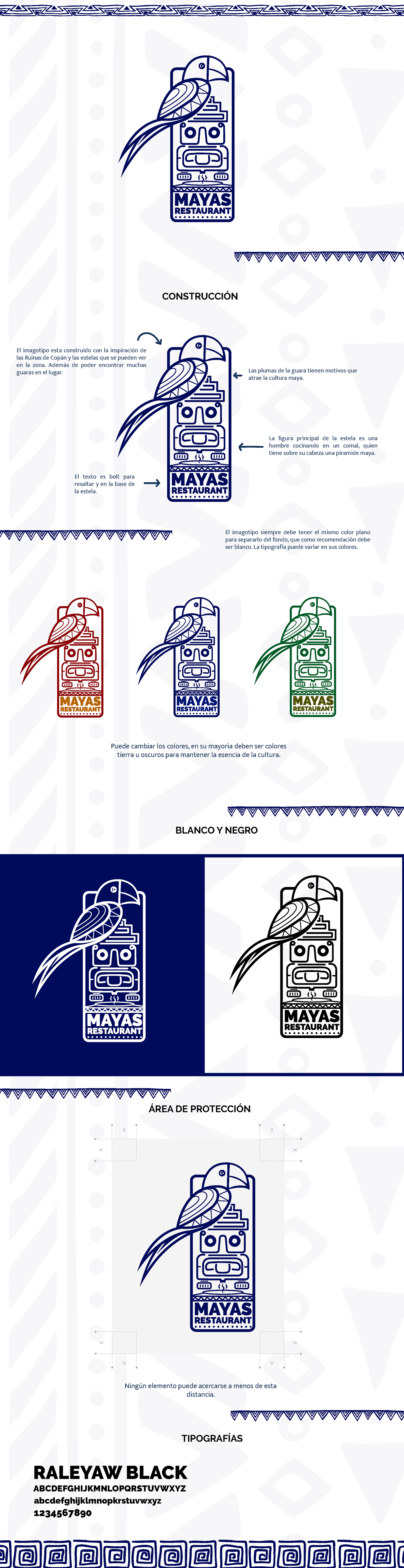 brand identity Logo Design visual identity Graphic Designer design logo branding  adobe illustrator
