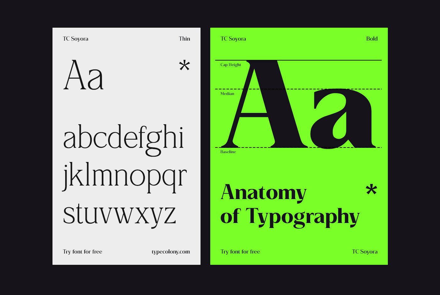 font Serif Font Typeface typography   Free font freebie best font best free font display font